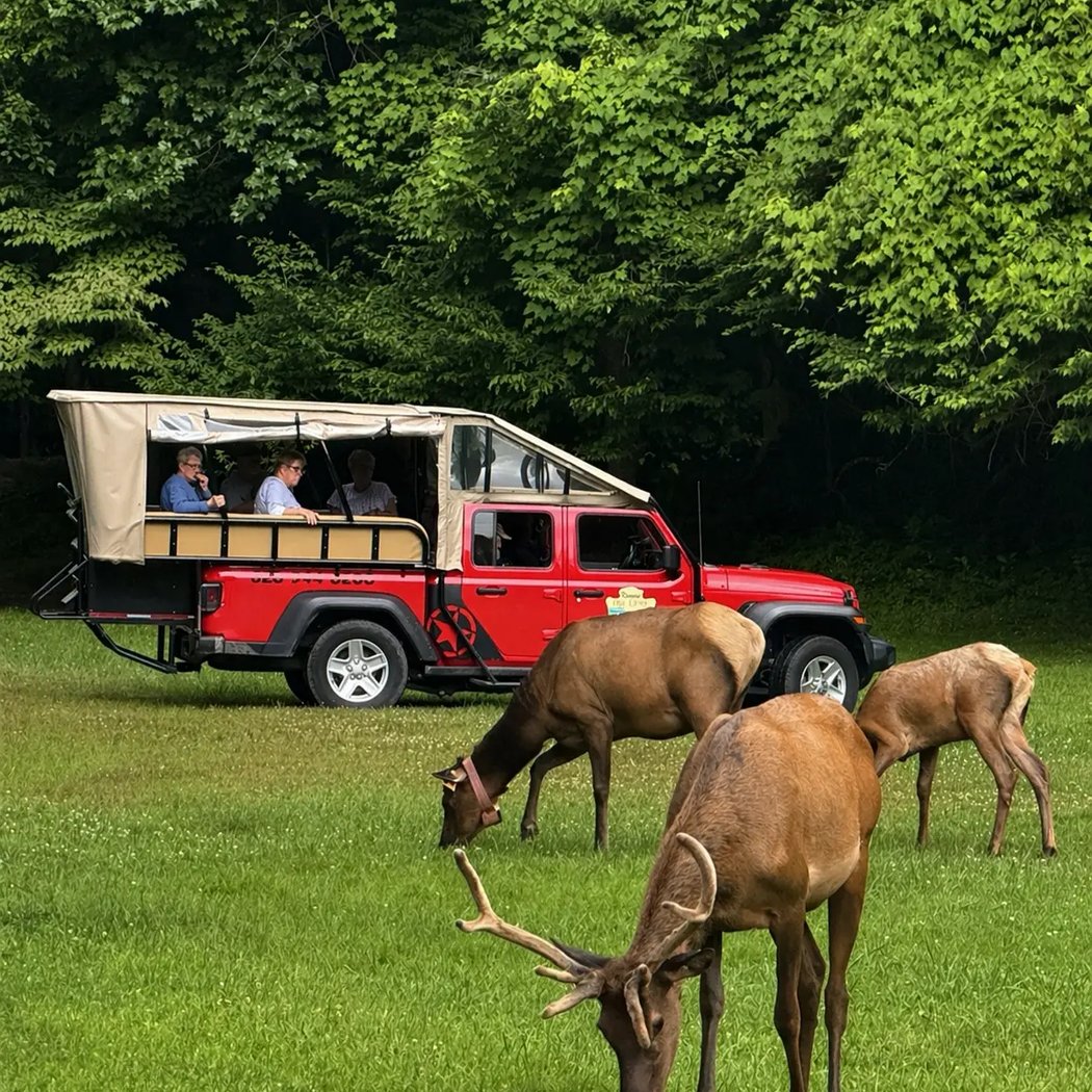 Scenic Tours & Adventures 1